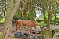 64_GOUDA_2803_RA_Nieuwe_Gouwe_OZ_98.jpg