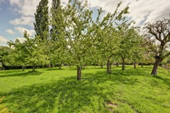 109_BODEGRAVEN_2411_PH_Meije_28.jpg