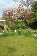image00027.jpg