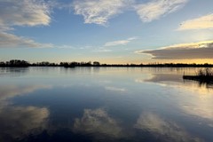 IMG_0953.jpg