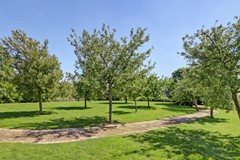 111_HAZERSWOUDE_RIJNDIJK_2394_CE_Rijndijk_257_A.jpg
