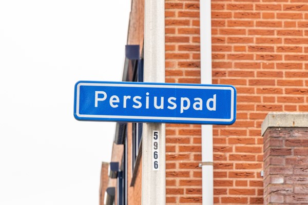 persiuspad12-001.jpg