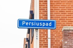persiuspad12-001.jpg