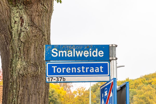 smalweide1-001.jpg