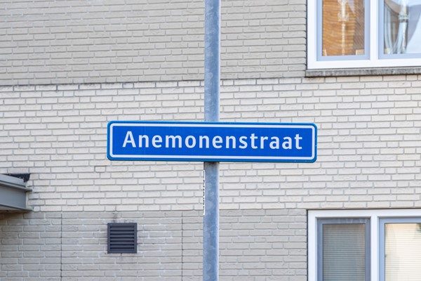 anemonenstraat12-001.jpg