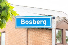 bosberg4-001.jpg