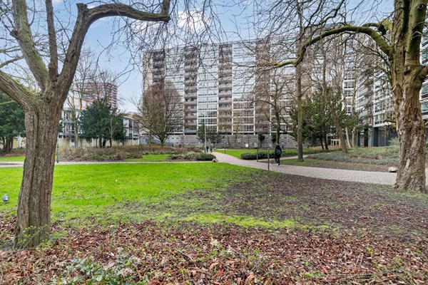 Medium property photo - Karel Doormanstraat 382S, 3012 GR Rotterdam