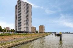 Buitenbassinweg3863063TCRotterdam-02.jpg