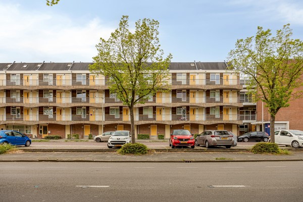 Bolderikkamp1262353hpLeiderdorpNL-02.jpg