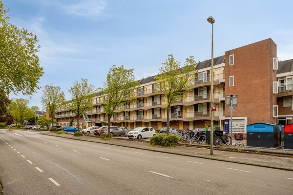 Bolderikkamp1262353hpLeiderdorpNL-01.jpg