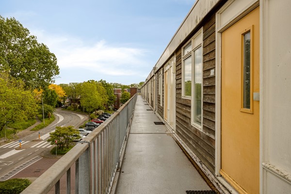 Bolderikkamp1262353hpLeiderdorpNL-05.jpg