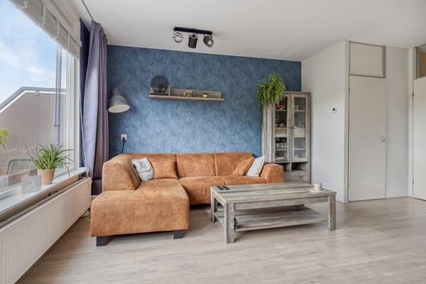 Bolderikkamp1262353hpLeiderdorpNL-11.jpg