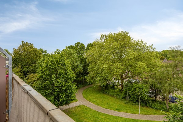 Bolderikkamp1262353hpLeiderdorpNL-22.jpg