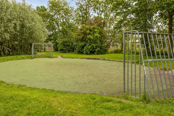 Bolderikkamp1262353hpLeiderdorpNL-25.jpg
