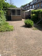 garden.jpg