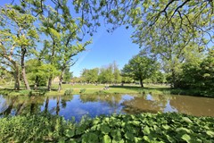 IMG_9550.jpg