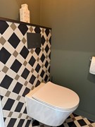 toilet.jpg