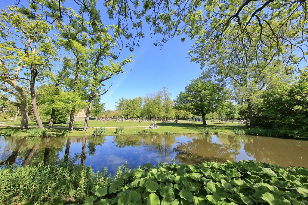 IMG_9550.jpg IMG_9550.jpg