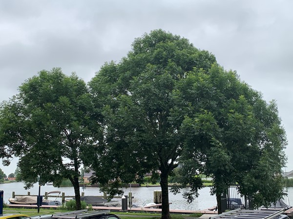 Medium property photo - Wilhelminakade 77A, 1422 XT Uithoorn