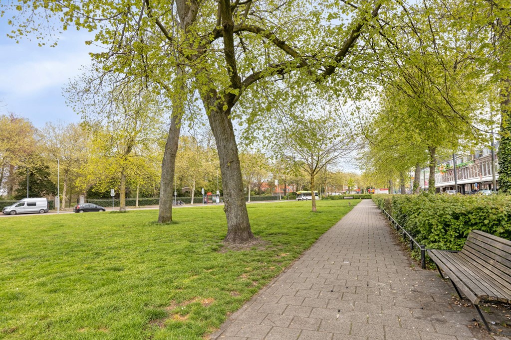 Reitzstraat512021TNHaarlemNL-32.jpg