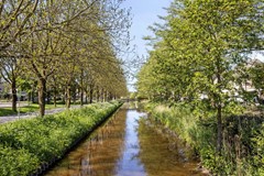 Braspenninglaan545237NPsHertogenbosch-49.jpg
