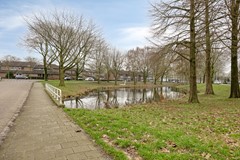 Fleringen1265235EZsHertogenbosch-37.jpg