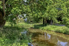 Salland265235NJ'sHertogenboschNL-68.jpg
