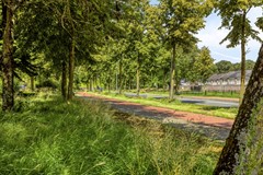 VierdeMorgen185233NSsHertogenboschNL-49.jpg