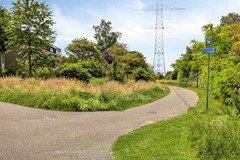 VierdeMorgen185233NSsHertogenboschNL-50.jpg