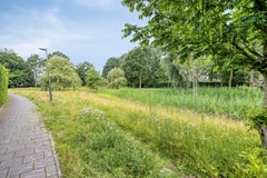 DenOven415386EWGeffenNL-42.jpg