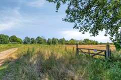 Cissenlaan75382JZVinkel-48.jpg