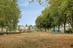 JanvanDelftstraat275246VHRosmalenNL-29.jpg