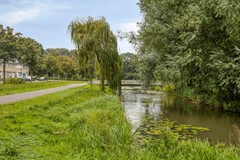 WittedeWithstraat255224HAsHertogenbosch-41.jpg