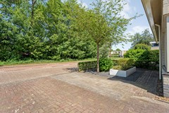 Foto-7.jpg