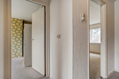Foto-33.jpg