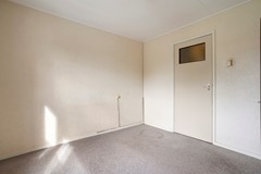 Foto-39.jpg