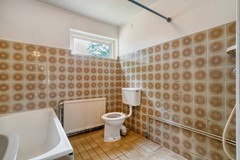 Foto-40.jpg