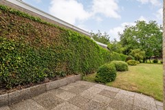 Foto-50.jpg