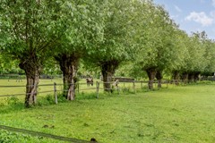 Foto-65.jpg
