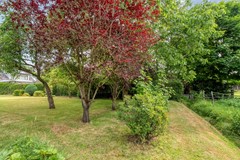 Foto-67.jpg