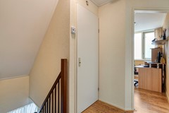 Foto-38.jpg