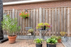 Foto-51.jpg