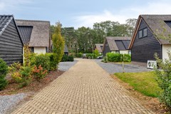 Kievit12B7045111HDBaarleNassau-04.jpg