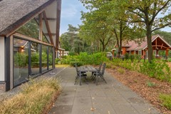 Kievit12B7045111HDBaarleNassau-42.jpg