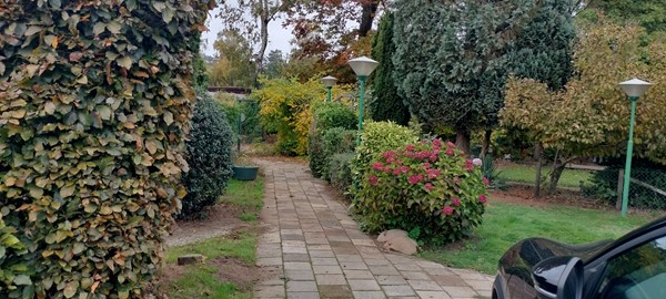 Medium property photo - Tulderheyde, 2382 Ravels