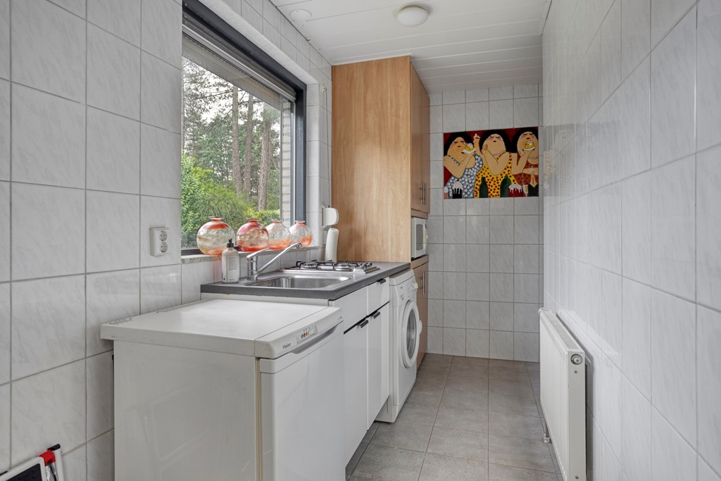Schaluinen113715111hbBaarleNassauNL-26.jpg