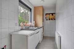 Schaluinen113715111hbBaarleNassauNL-26.jpg