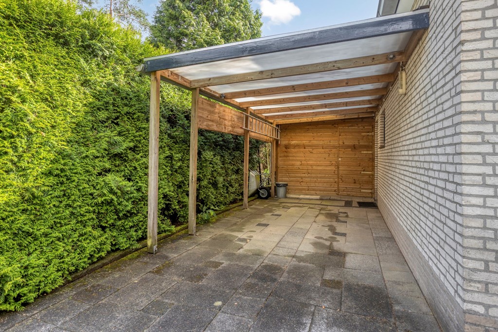 Schaluinen113715111hbBaarleNassauNL-04.jpg