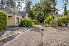 Schaluinen113715111hbBaarleNassauNL-02.jpg