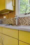 Kievit12B4105111HDBaarleNassauNL-12.jpg